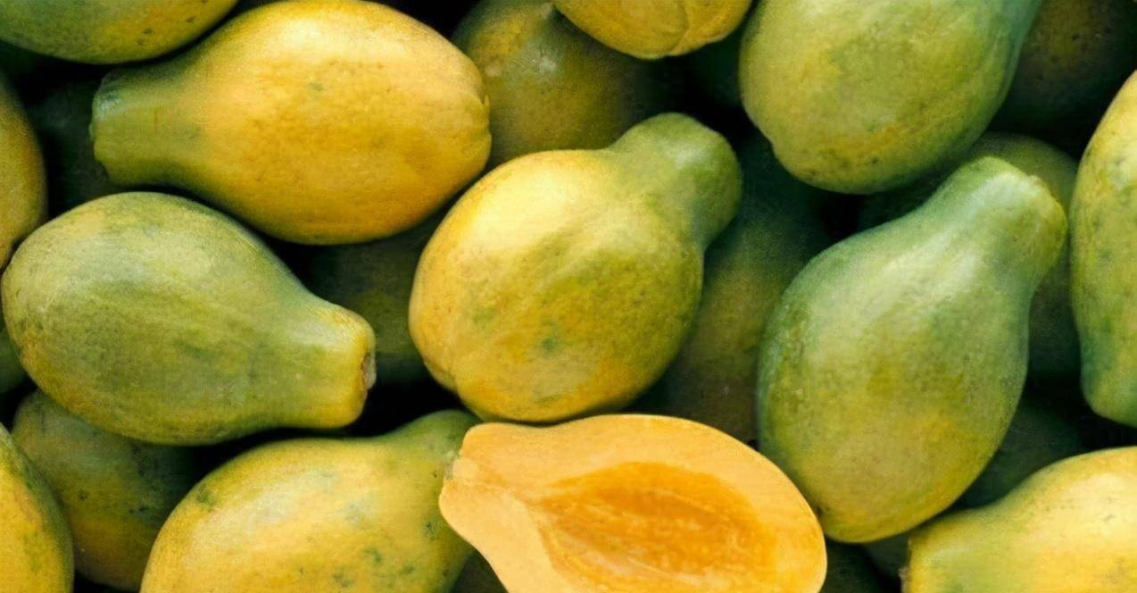 银杏果怎么吃最有营养、六种人不宜吃杏