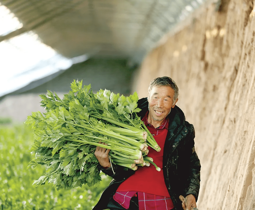 郑殿才|交城县代家庄村：乡村旅游点亮振兴路