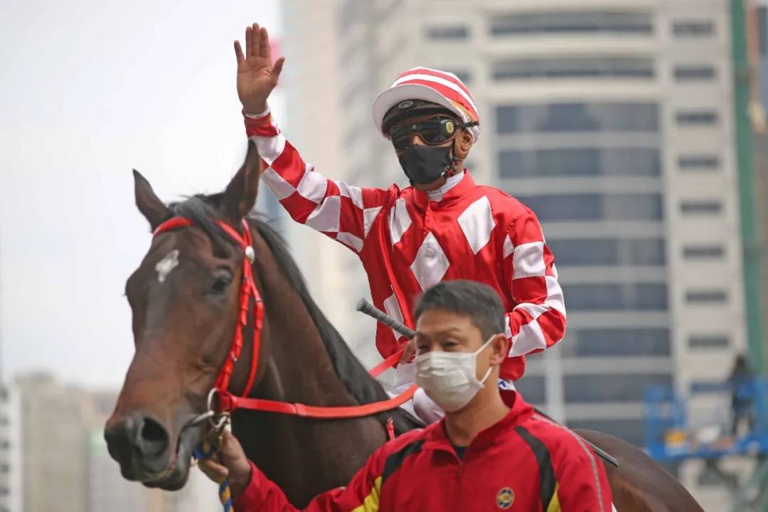 聚星马粮快讯:大年初六香港跑马地赛马骑师潘顿十战五捷独领风骚_皇宝
