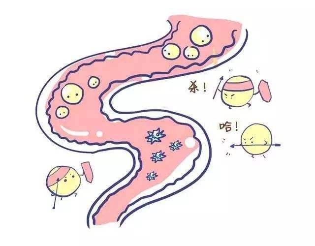 什么样的大便是正常形状 0fa36b1d450644d69c0eff70e3f157b0.jpeg