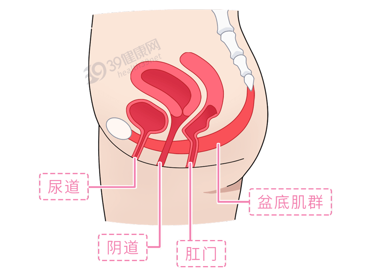 阴道哑铃怎么用一文看懂阴道哑铃女性要紧握自己的幸福