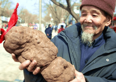 原创真有百年何首乌古人很推崇但建议别乱吃生何首乌有毒素