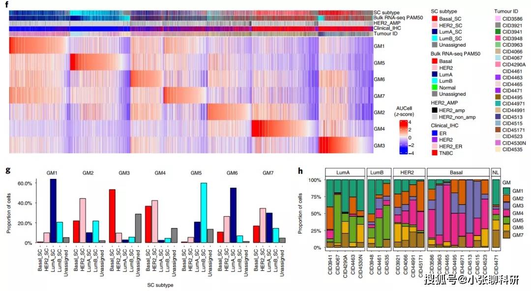 这篇38分的文章让你的单细胞与空间转录组数据初露锋芒_识别_亚型