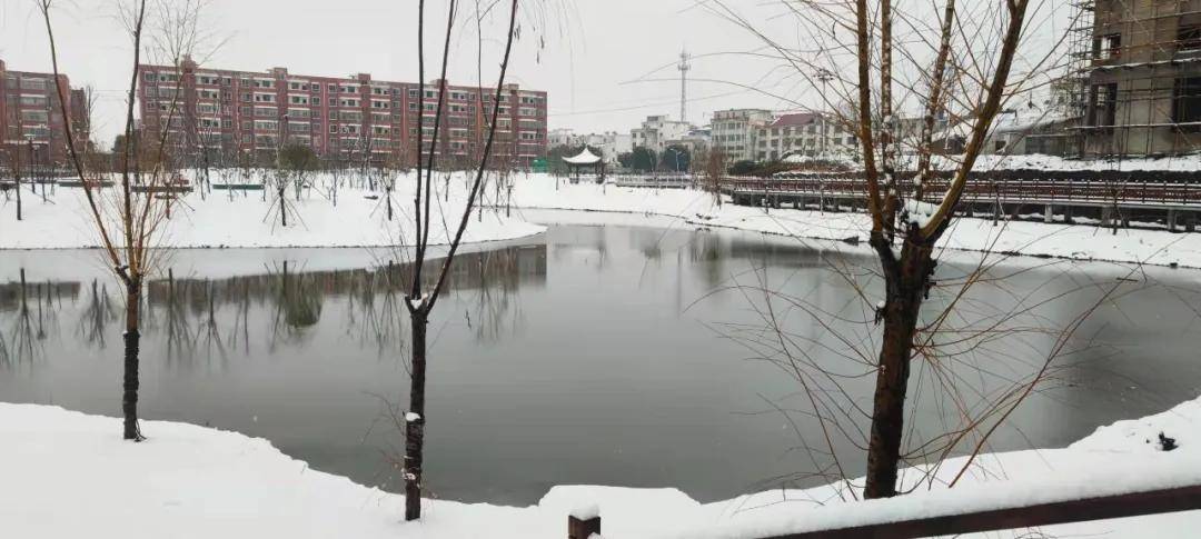 公园|江西湖口: 流泗镇瑞龙公园雪景都美成这样