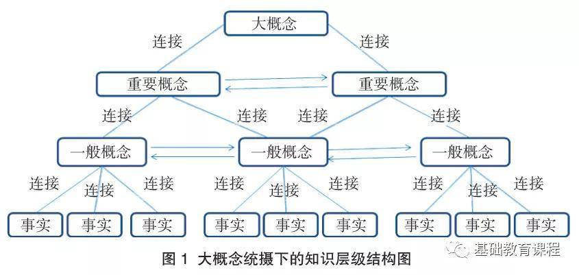 基于核心素养的学科大概念及其教学策略_知识_结构_生物