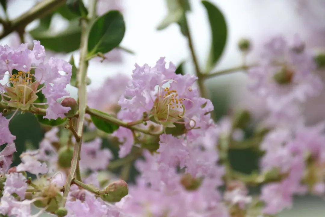 四季|光阴里的西安铁道技师学院二十四节气