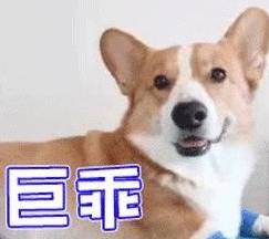 63d1458f88a14fd19d75e9248451a36a.jpeg