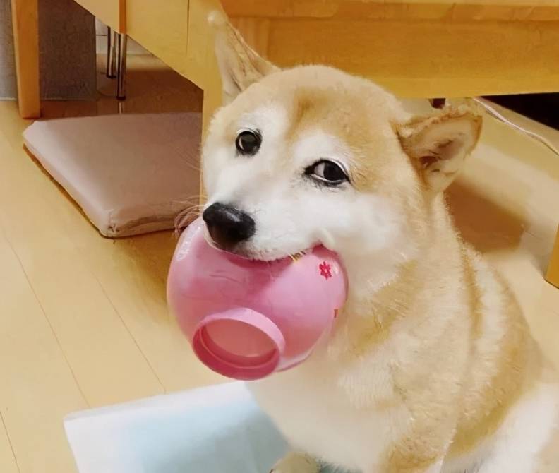a53ed49390fa4508bdd7863885a64a9a.jpeg