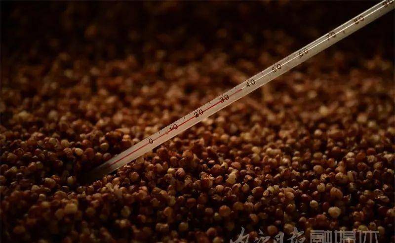 内江|内江“神奇”!民间土酿高粱酒,每年外卖三万斤——