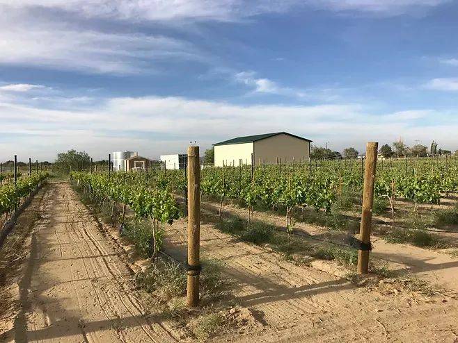 地区|洛杉矶,加州葡萄酒的新星