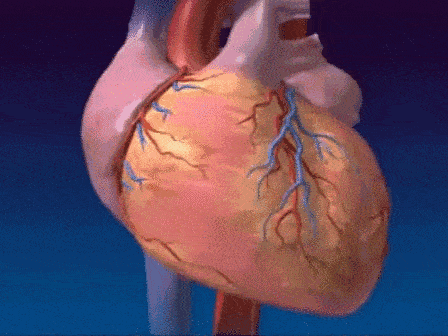 在熟睡中突然被惊醒,人的普遍反映是,心脏会快速跳动,出现心慌等症状