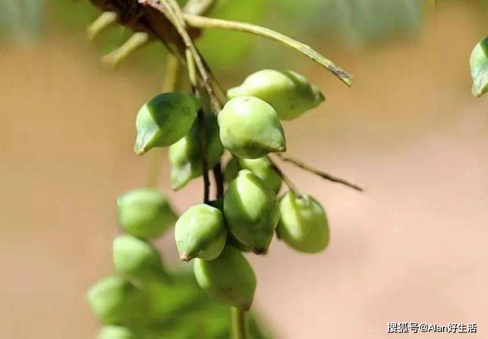 氧化VTN之家：如何逆袭“岁月”这把杀猪刀？皮肤衰老的元凶你知道吗