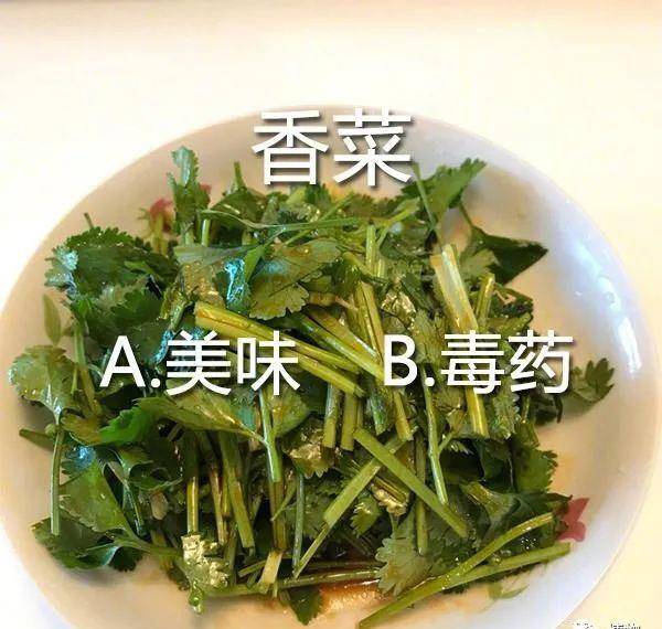 53fedce32a854c3a8ab9238c0e5152b1.jpeg