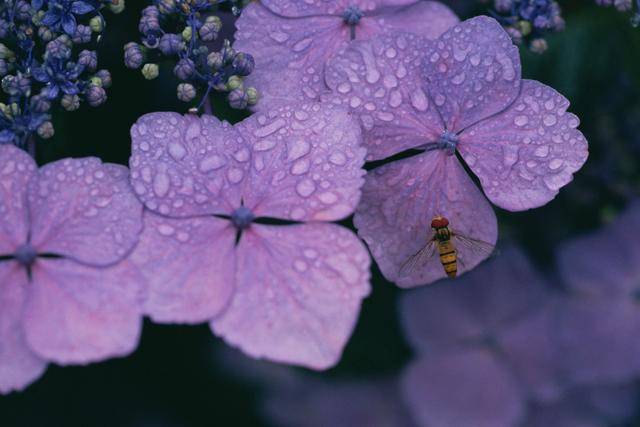男人和女人互借这三样东西其实就是在暧昧没必要掩饰