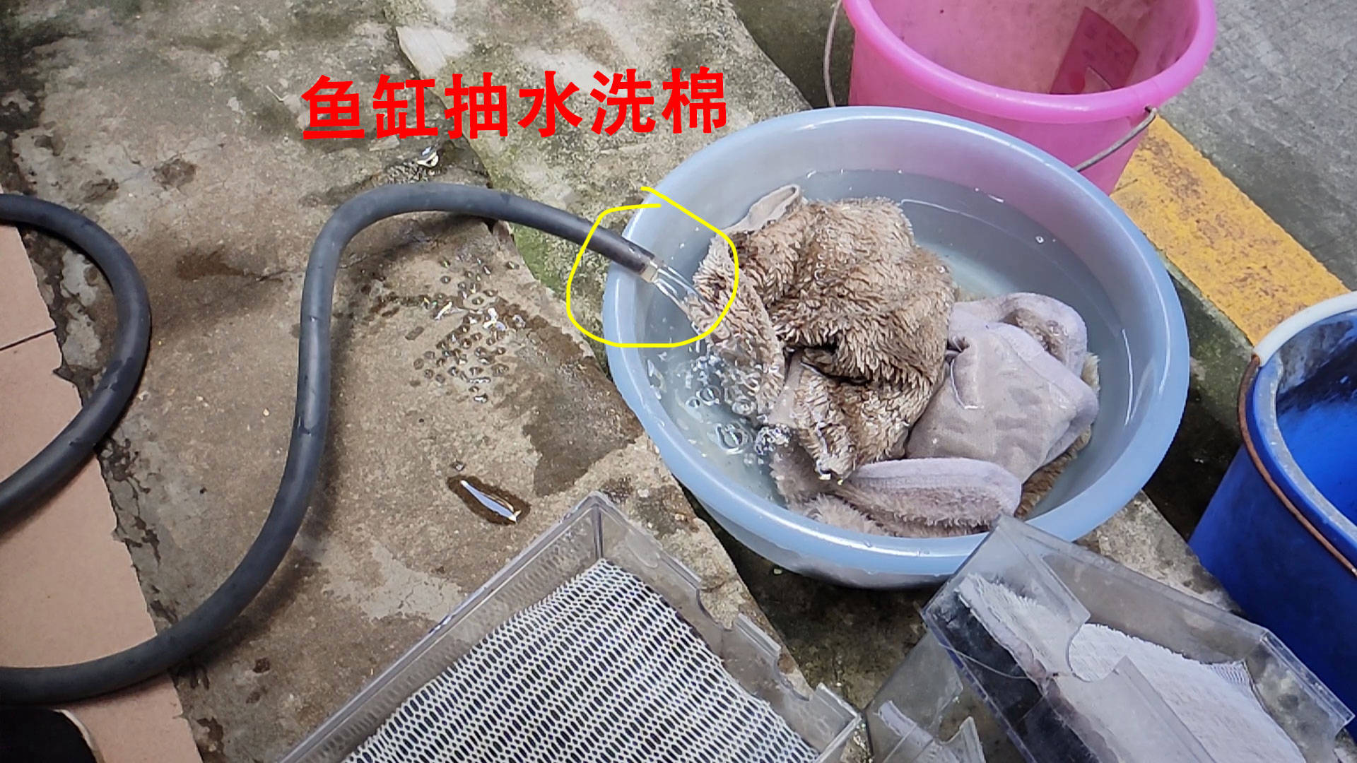 鱼缸换水的正确方法_水温_水量_水泵