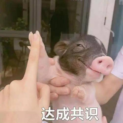 对比鼻基底对面部的影响有多大?