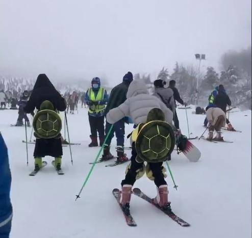 浙江俩女子穿着 乌龟护具 滑雪,下一秒撞倒陌生人的姿势真实