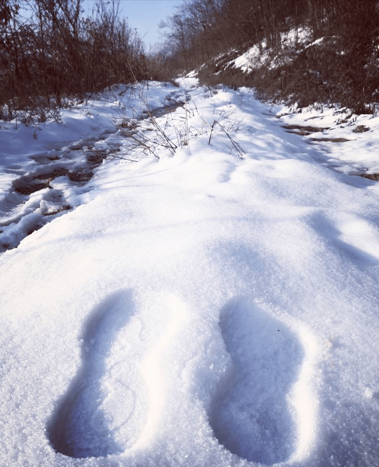 小时候|家乡的风景：插旗山