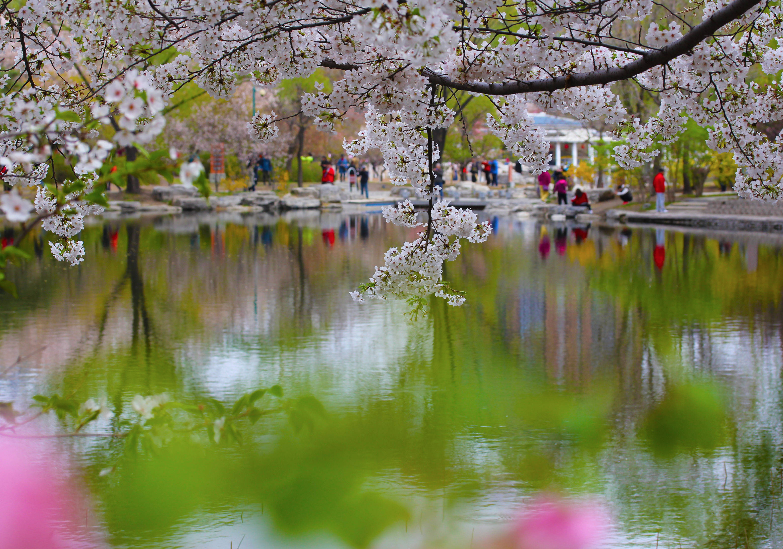 清泉寺在什么地方建的 5598bbc1b2514c6cb1ec2e49734797d3.jpeg