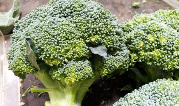 才會|許多人早起后的壞習慣，可能比喝酒還傷肝，想要肝好，趁早改