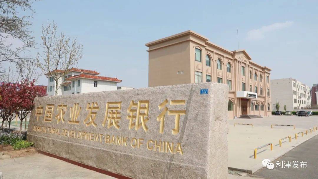 落实县委经济工作会议精神系列访谈中国农业发展银行利津县支行行长