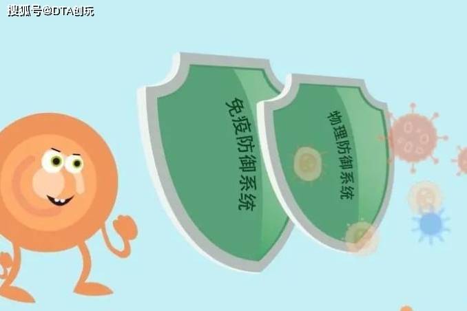 90%的疾病与免疫有关,构筑免疫力的几种营养素你知道吗?_病毒_机体_入侵者