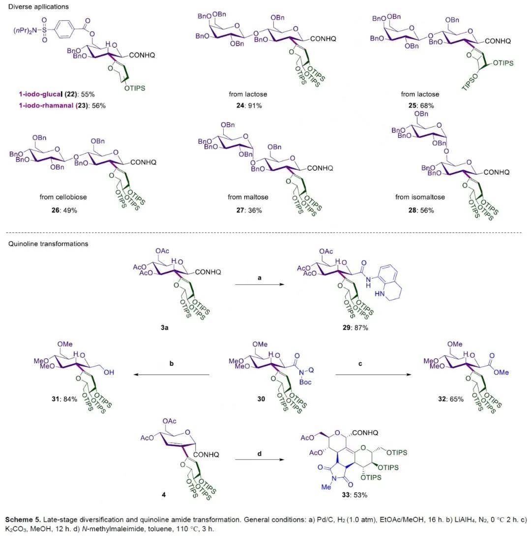 lutzackermann课题组利用糖苷的csp3–h键糖基化实现c寡糖的合成