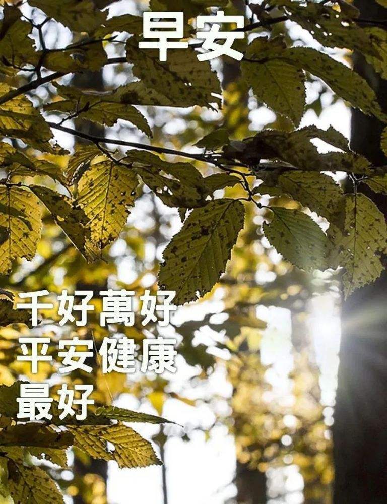 原创8张非常好看的早上好问候语图片2022早上好祝福语图片大全