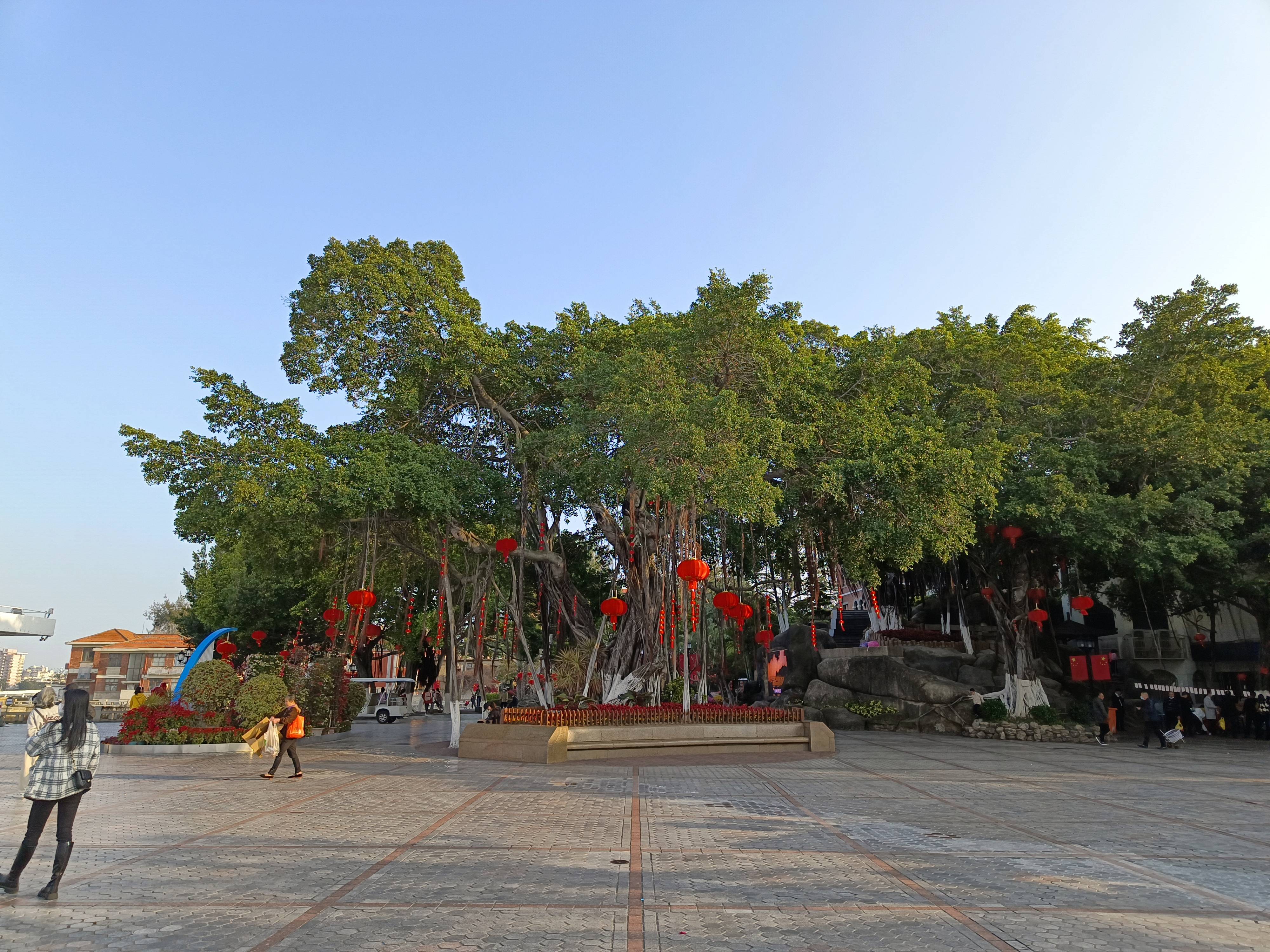 上岛|鼓浪屿的美要慢慢去挖掘，褪去网红光环的小岛，才是它真实的模样