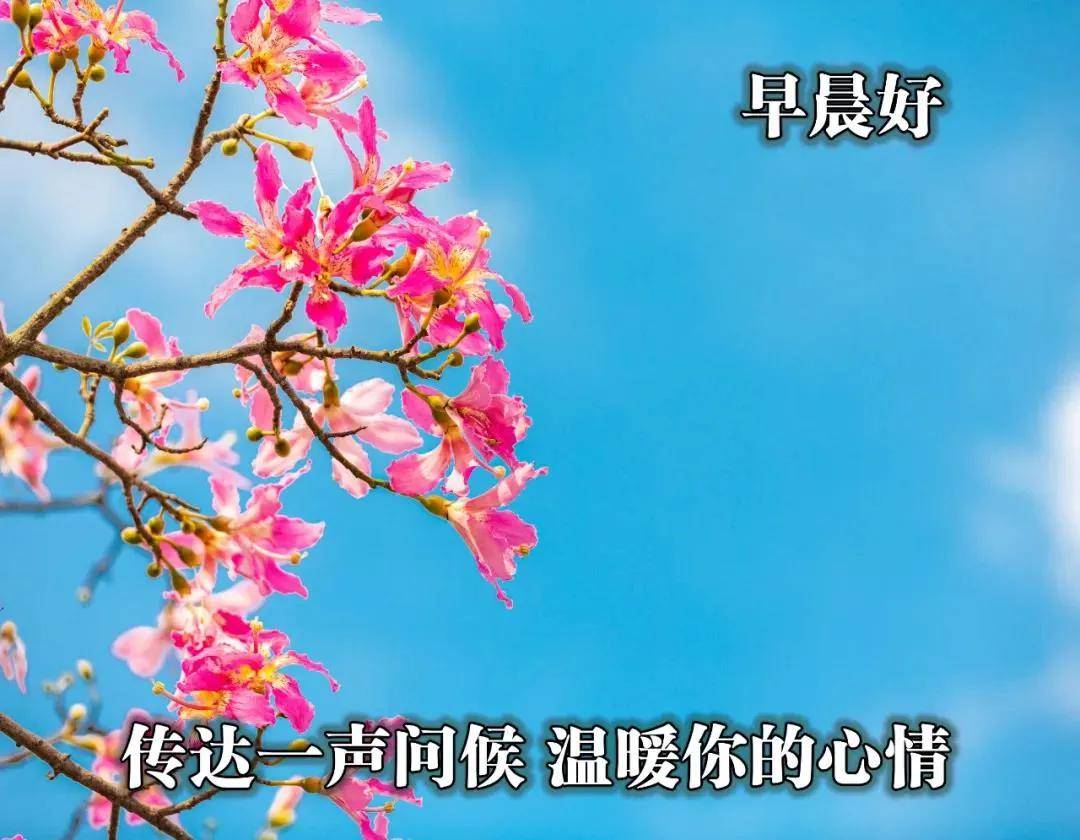 8张最美风景早上好图片带字带祝福语 免打字春天风景早上好问候祝福