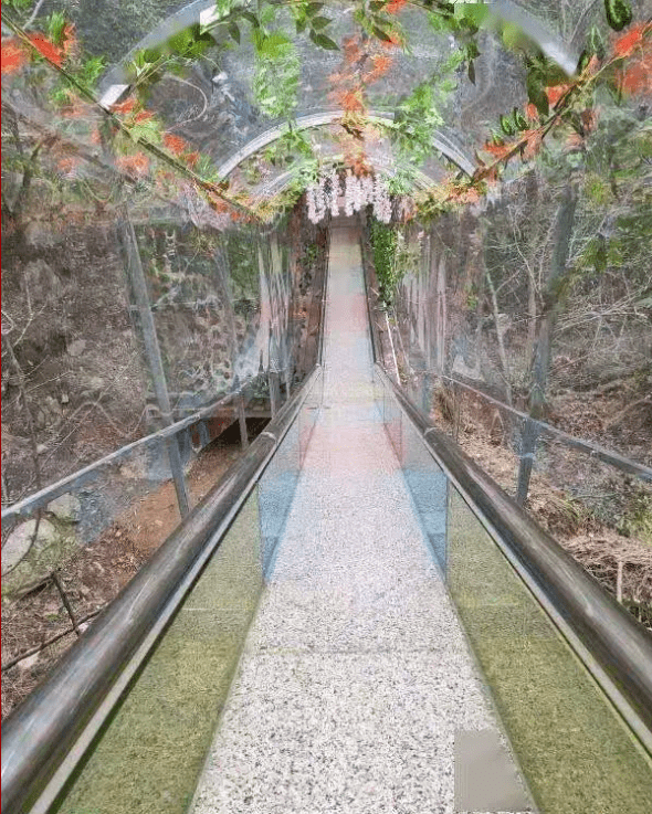 丹霞玻璃旱滑道由人工架设钢架,全长大约200米,由钢化玻璃及大理石