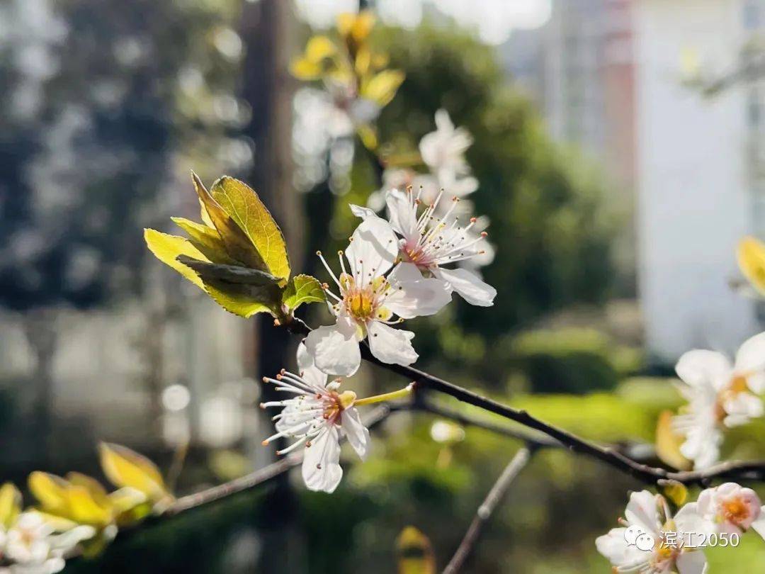 下一秒的更新秒杀与秒成的集合体再造与遇见的奇迹闪光与闪烁的曙光久