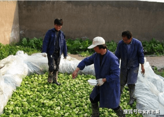 茶叶|脚踩的美食都不卫生？未必！这5种脚踩食物，你绝对吃过其中一种