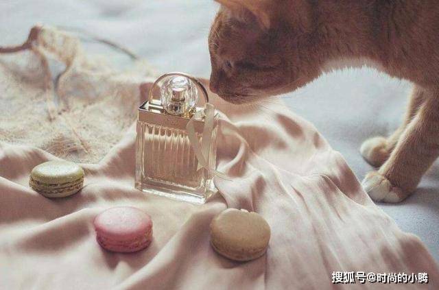 薄荷糖不管到了多大年纪，女人包里必备这10件小物，精致从细节开始