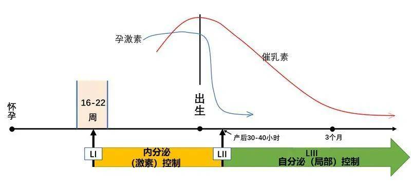 治疗|riri爱情事业双丰收的同时，还美美当辣妈了