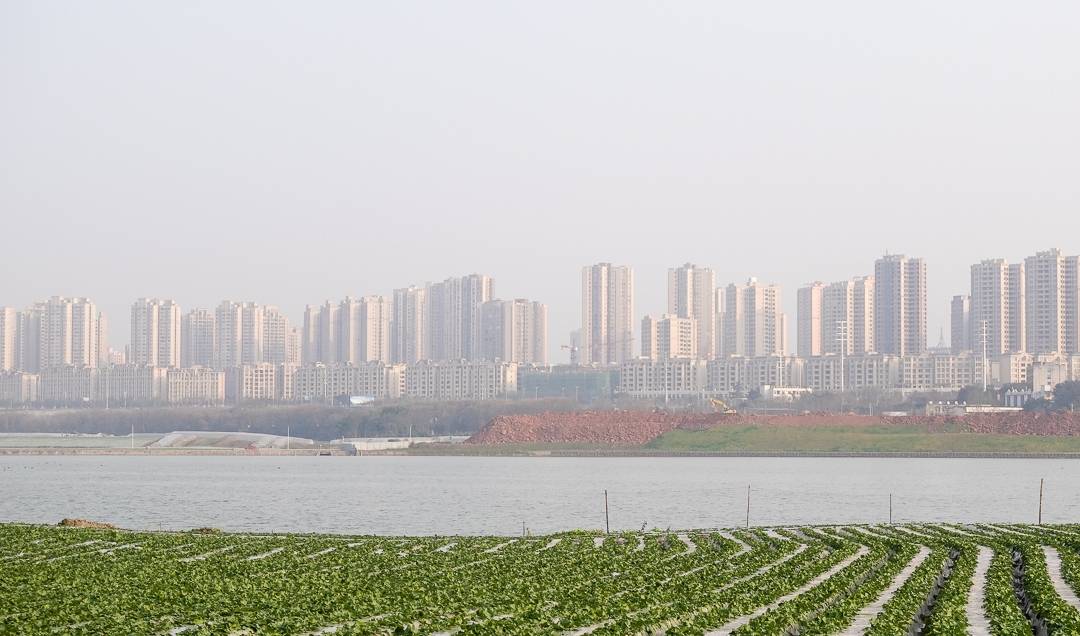 原创重庆有个很接地气的公园，设计理念西部首创，或成又一个网红景点