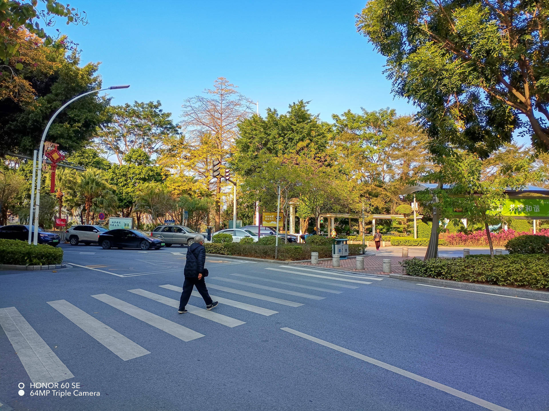 2000元的机，5000元的屏？荣耀60 SE轻体验