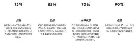 因为谁能想到这种绝美恶女颜背后,是个傻白甜啊