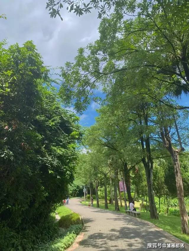 附近帳篷區紅花嶺公園烈士紀念碑右後側空曠區域門票免費免預約公交站