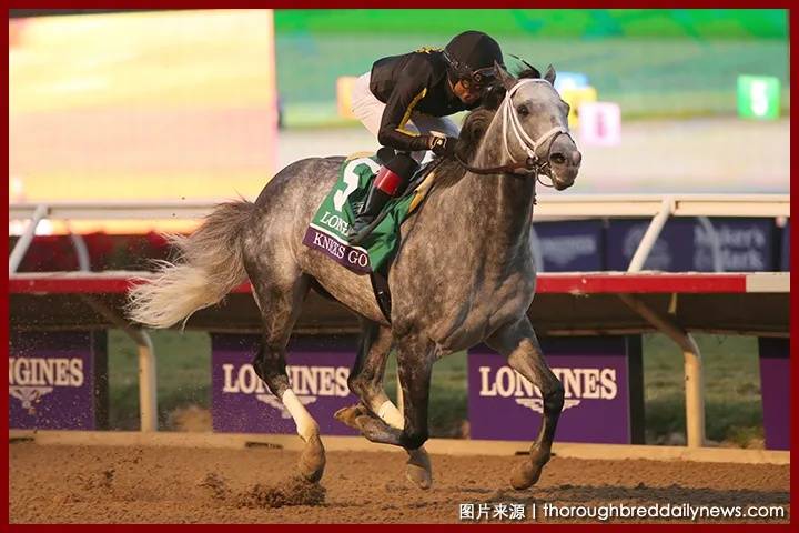 聚星马粮快讯韩国马事会力胜高当选日蚀奖美国年度马王