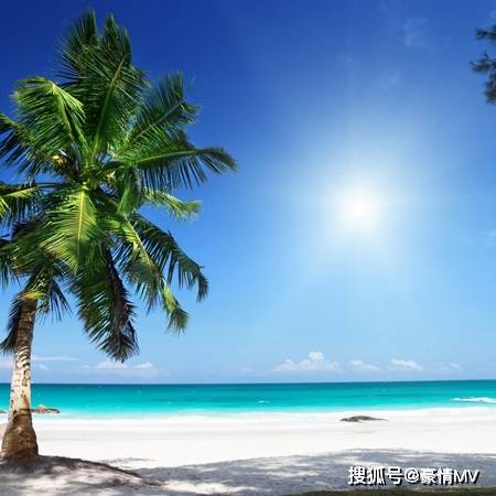 阳光明媚的风景图片素材好看唯美的阳光