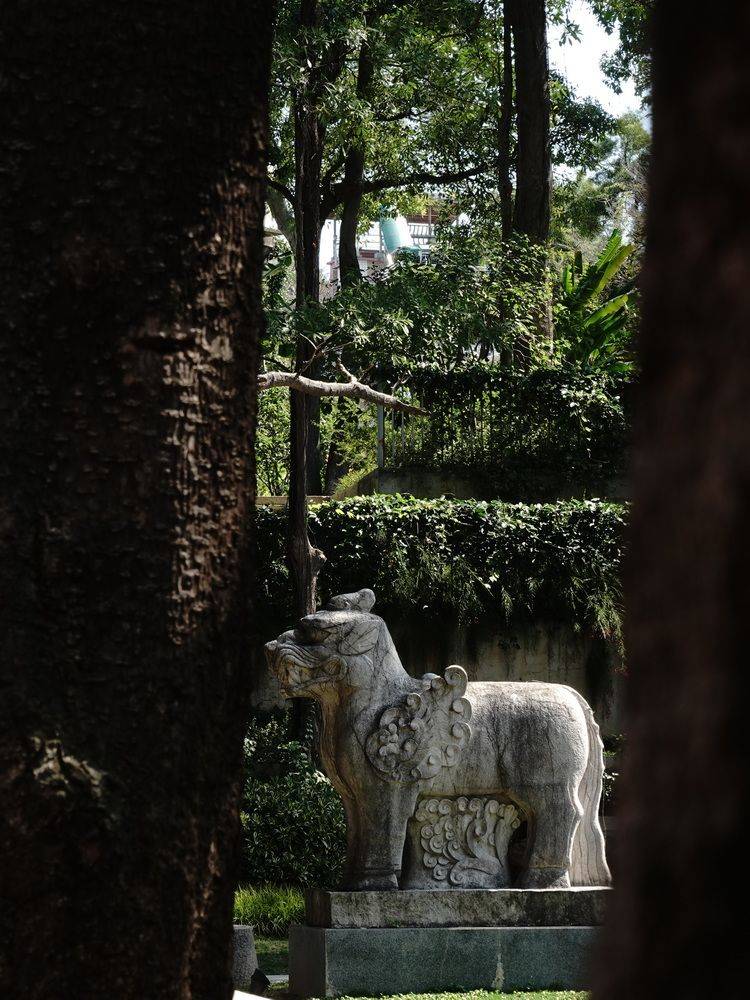 晴天|鼓浪屿美院：生命有时，美好永不止步