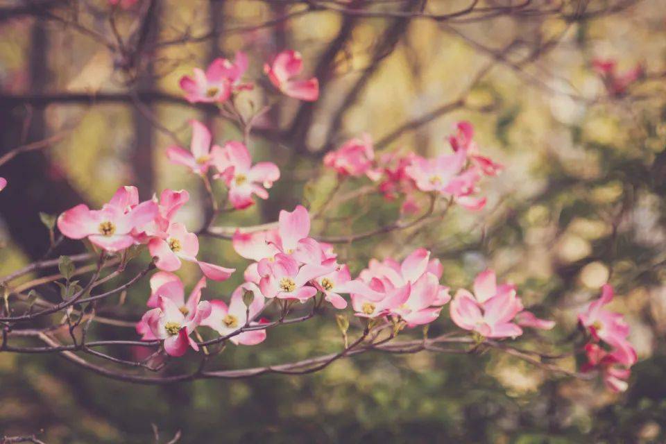 赶上二手回收的商业风口,但爱回收却总被消费者投诉欺骗-家电圈官网