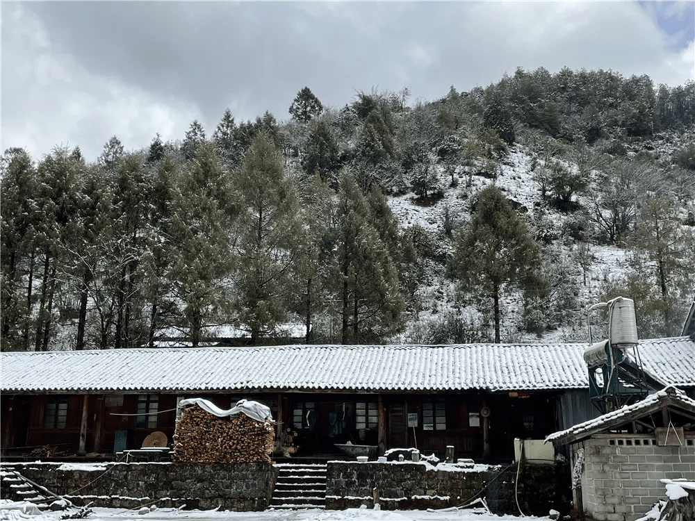 阳光|一山有四季，十里不同天