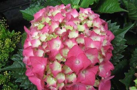 生肖马 3月29日记得留意一个人 他是你未来1个月的大贵人 马属 财运 日进斗金