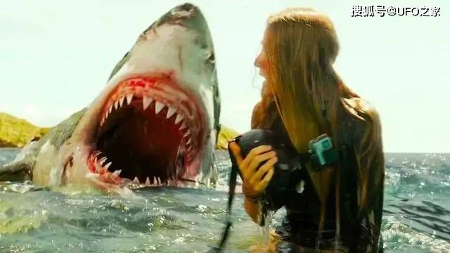大白鲨咬人真实事件图片