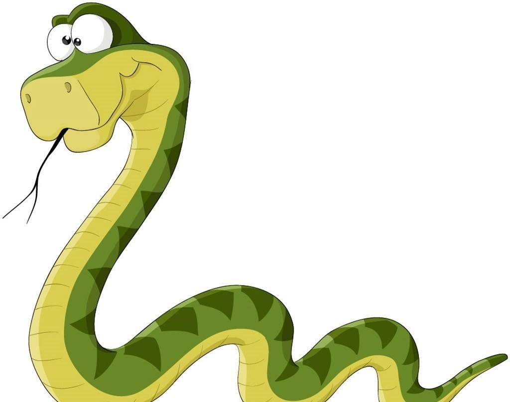 蛇是怎么睡觉的 51a7fe31895549fb89b3f7d9c6c16f22.jpeg