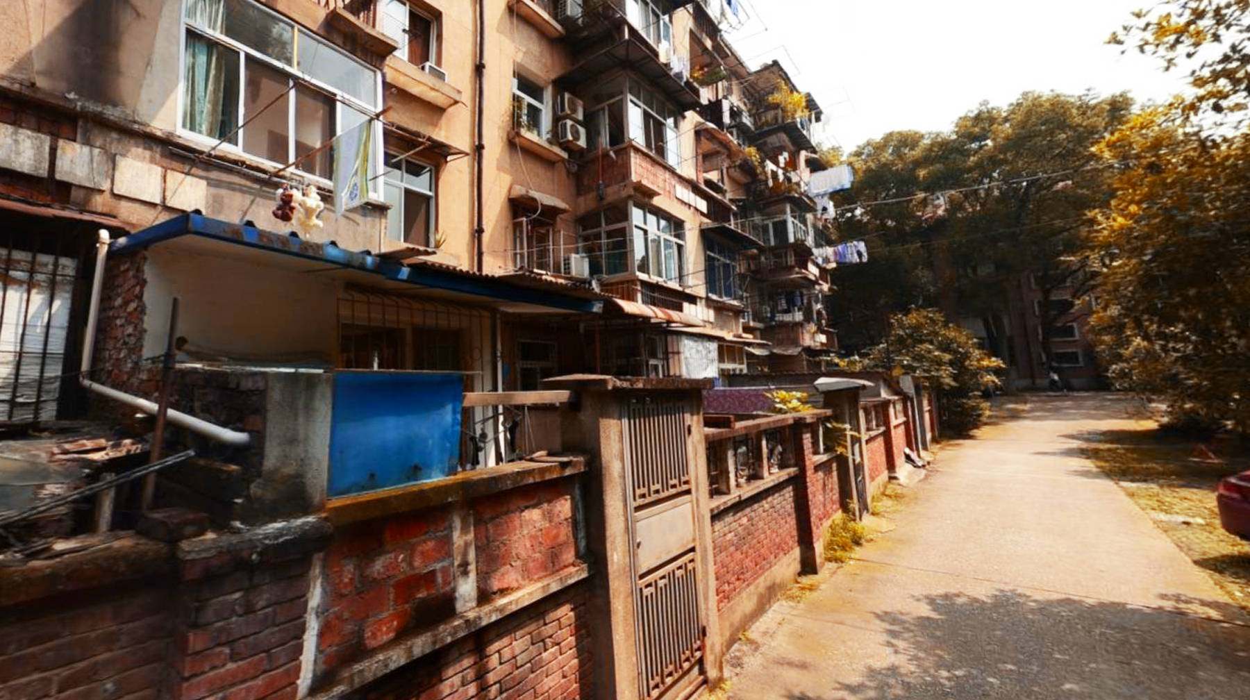 武汉闹市一座低调高校:遍布老旧教学楼,行道树营造怀旧氛围_校区_石牌
