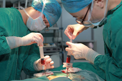 济南|济南血液病医院：淋巴瘤自体移植“不可或缺”，这些患者更易获益