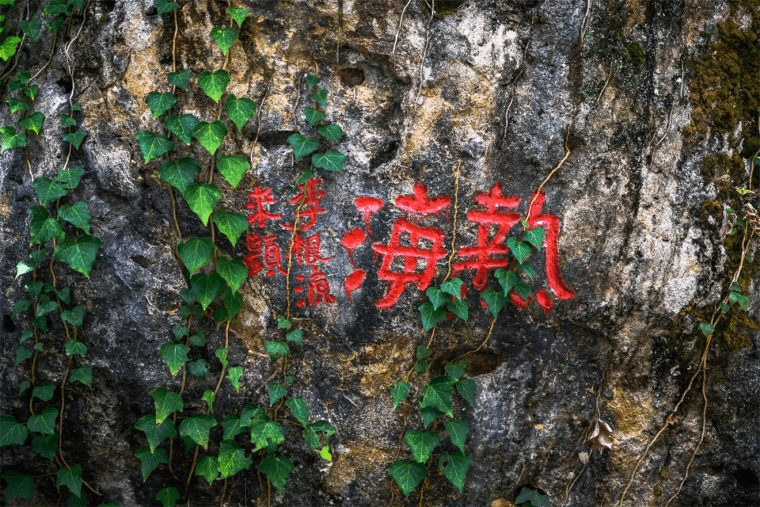 热海|遇见热海，我为家乡代言